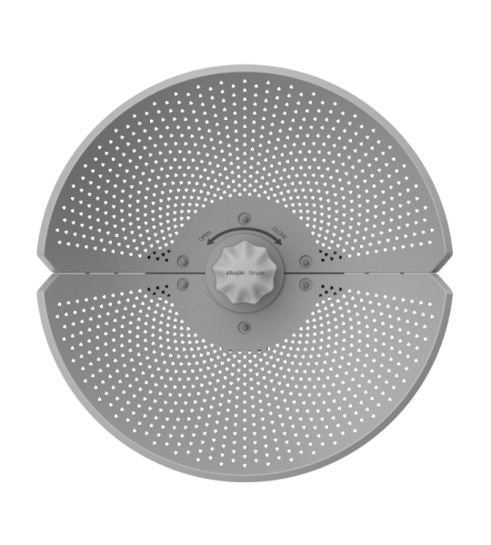 RG-AirMetro460G, CPE of RG-AirMetro Series Wireless Bridges